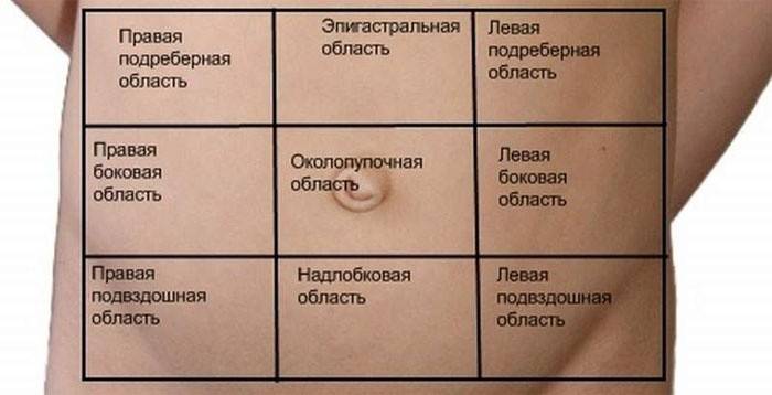 Виниклі больові відчуття можуть сигналізувати про захворювання органів травного тракту, сечового міхура, матки, придатків, спини, серця, хворобах крові або нервової системи