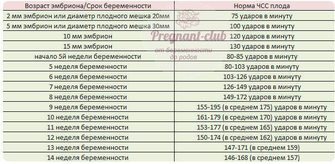 До початку 9й тижні ЧСС плода становить приблизно 175уд / хв