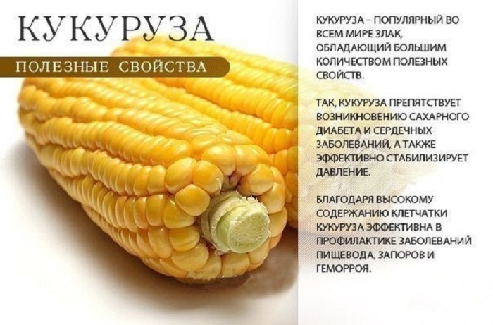 Кукурудза при цукровому діабеті 2 типу хороший замінник крохмальним овочам, таким як картопля