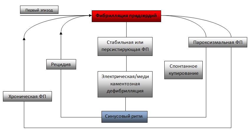 Профілактика миготливої ​​аритмії   Дієта при миготливої ​​аритмії   Миготлива аритмія після операцій на серці   Діагностика миготливої ​​аритмії   Миготлива аритмія (МА) - найбільш часто зустрічається порушення серцевого ритму