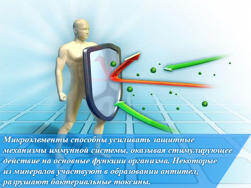 Різноманіття впливу мікроелементів на організм людини доводить необхідність даних мінеральних речовин для повноцінного функціонування і підтримки організму в здоровому стані протягом усього життя