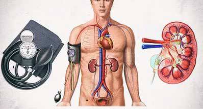 Ниркова (симптоматична) гіпертензія виникає в результаті ураження нирок або судин, що живлять їх