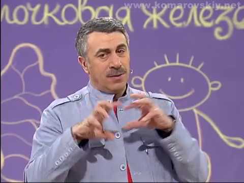 Для чого потрібна вилочкова залоза (тимус) і що робити якщо вона збільшена