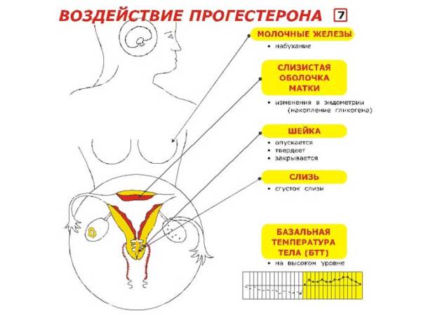 Набрякання грудей, постійний поганий настрій;   Головні болі і хронічна втома;   Набухання живота;   дратівливість;   Різкий набір ваги перед місячними;   Хворобливі менструації