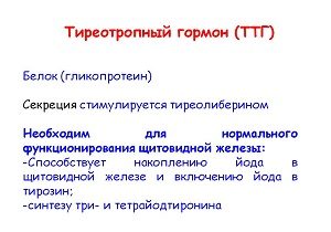 Гормон ТТГ: що це таке