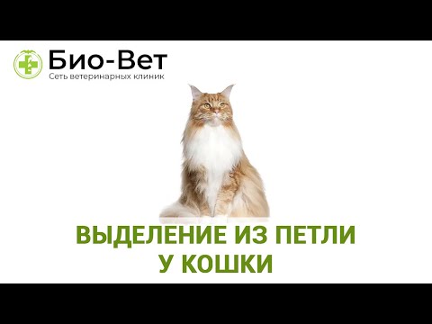 Найточніше встановити діагноз допомагає УЗД