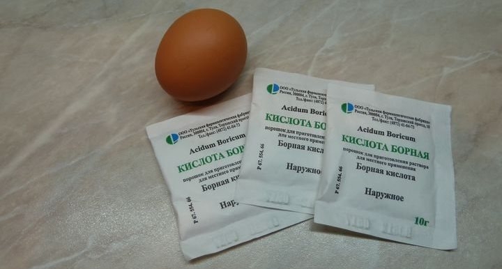 Борна кислота з яйцем від тарганів